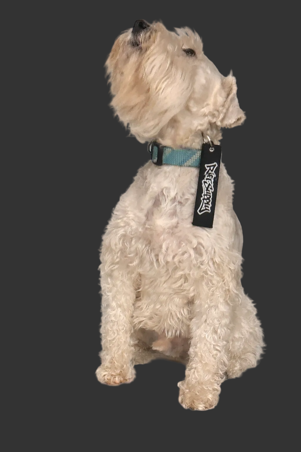 Rift Supply Signature Black Keychain